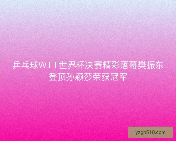 乒乓球WTT世界杯决赛精彩落幕樊振东登顶孙颖莎荣获冠军